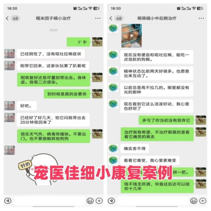 治疗过程